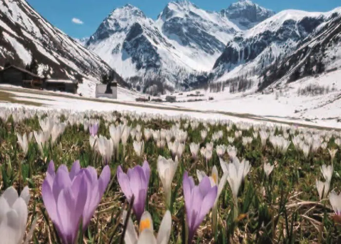 National By Mountain 3*